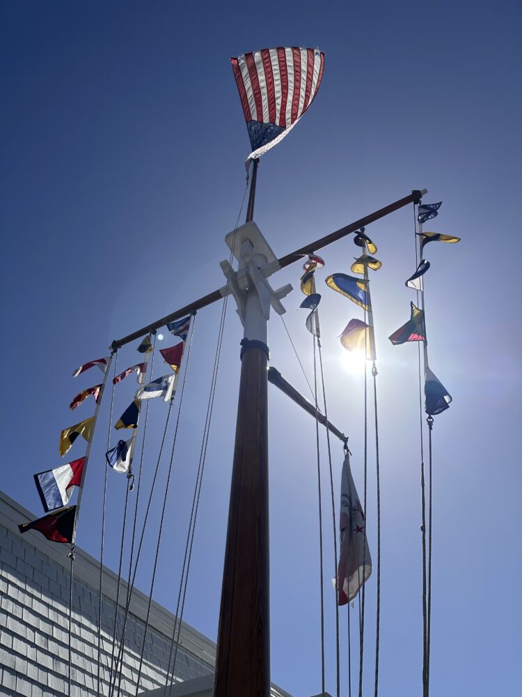 The Jeep Wrangler and vintage Scout navigating a narrow dirt shelf road through a pine forest.