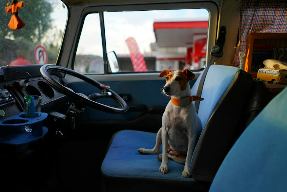 Best Dog Car Seat 2026: Top Crash-Tested Safety Picks