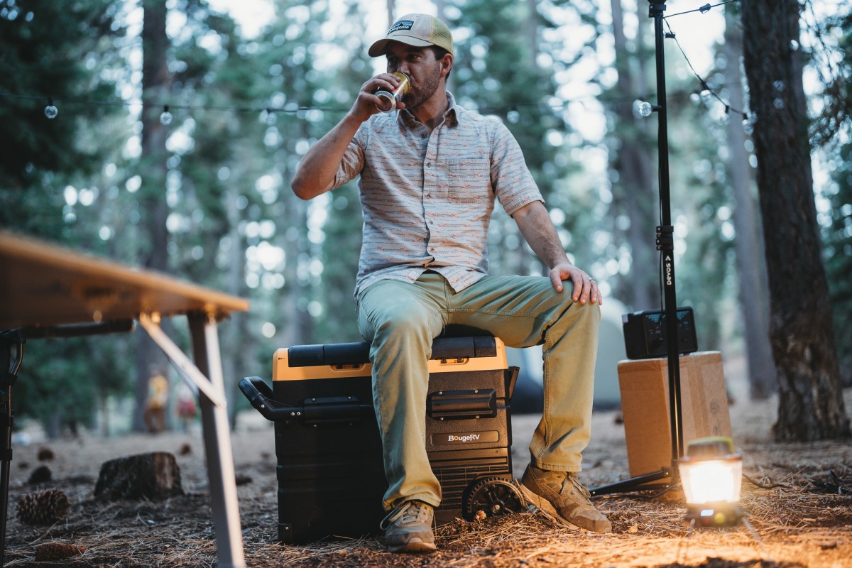 A portable compressor fridge sitting on a truck tailgate in a sunny outdoor setting.