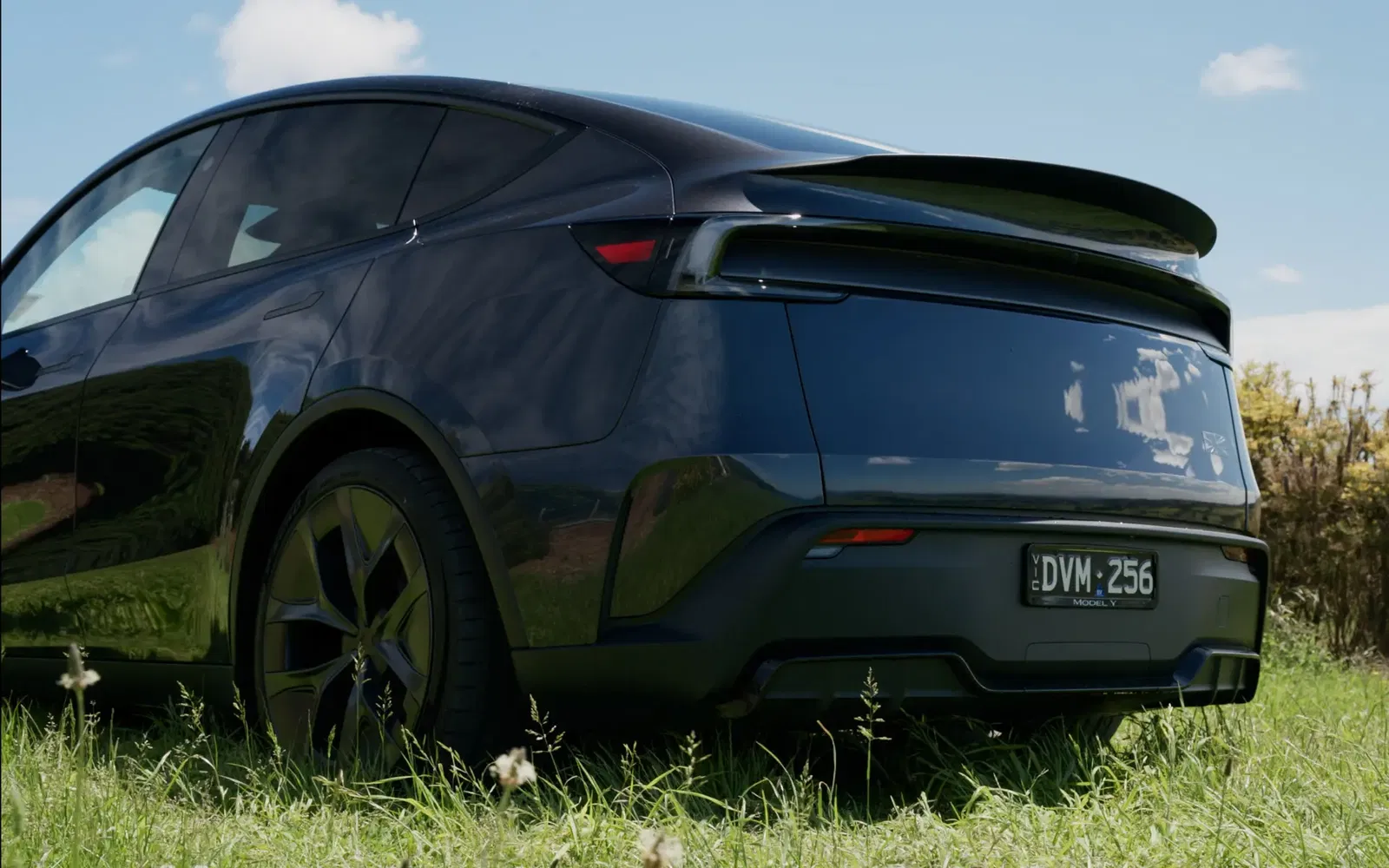 Rear view of the Tesla Model Y at dusk highlighting the illuminated 'TESLA' lettering across the tailgate.